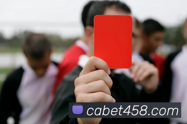 ca亚洲城平台生态图